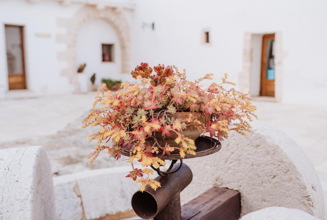 Masseria Casamassima Agriturismo ออสตูนี ภายนอก รูปภาพ