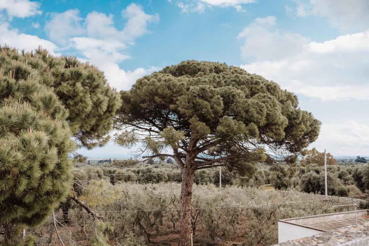 Masseria Casamassima Agriturismo ออสตูนี ภายนอก รูปภาพ