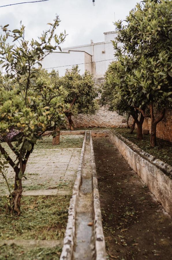 Masseria Casamassima Agriturismo ออสตูนี ภายนอก รูปภาพ