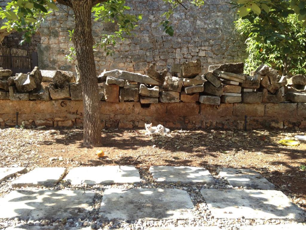 Masseria Casamassima Agriturismo Villa ออสตูนี ภายนอก รูปภาพ